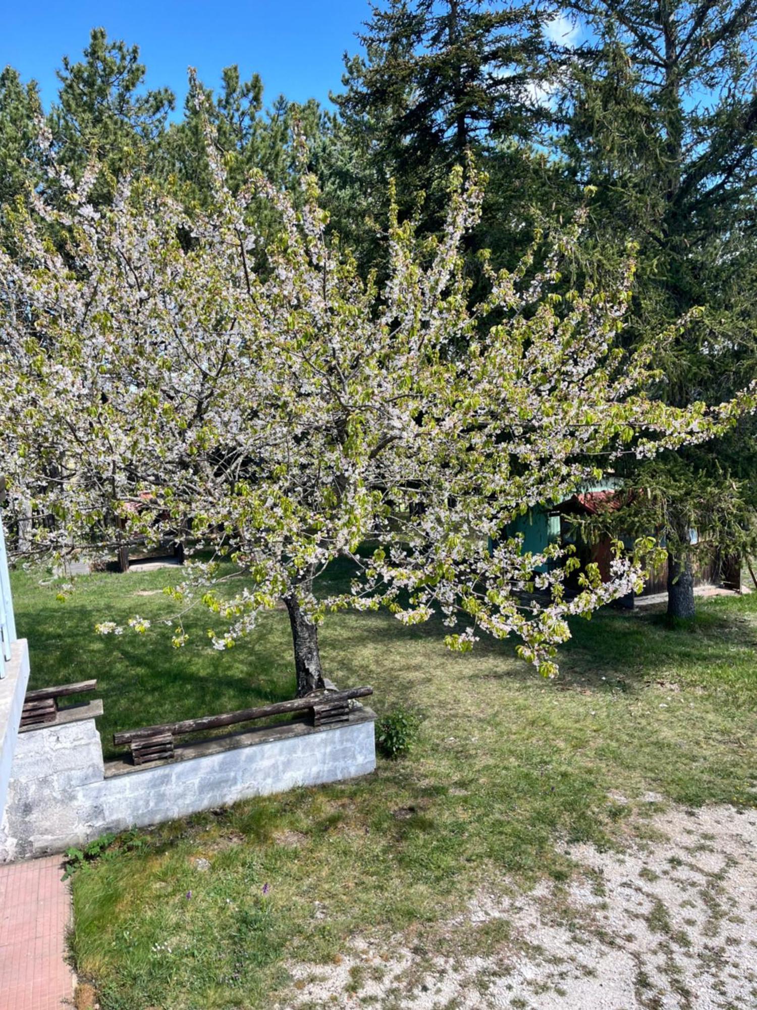 Chalet Ricciano Foligno Luaran gambar