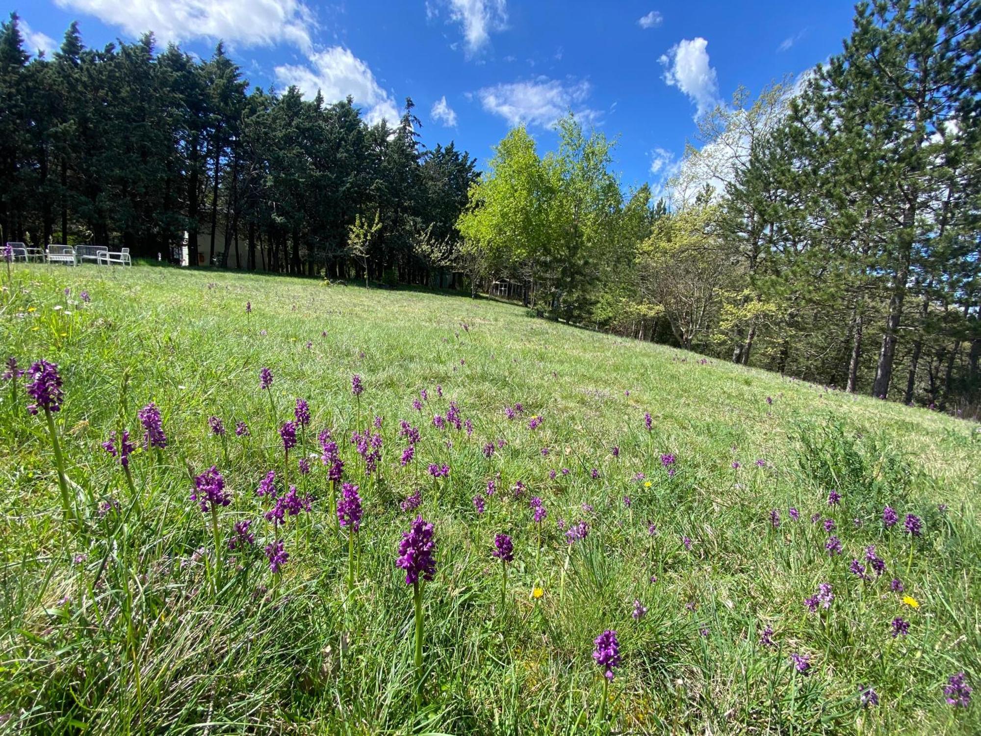 Chalet Ricciano Foligno Luaran gambar